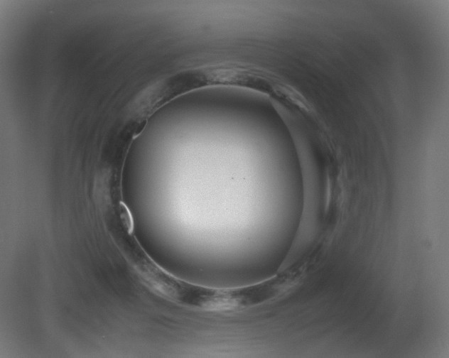 X0000081350217200701111503