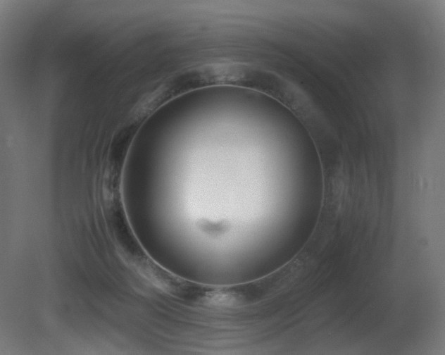 X0000081350218200701111503