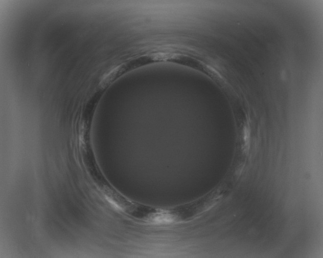 X0000081350219200701111503