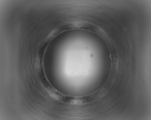 X0000081350220200701111503
