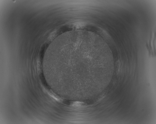 X0000081350222200701111503