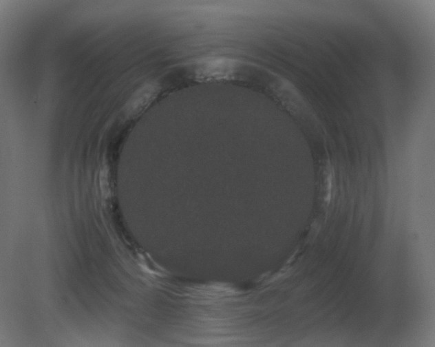X0000081350224200701111503