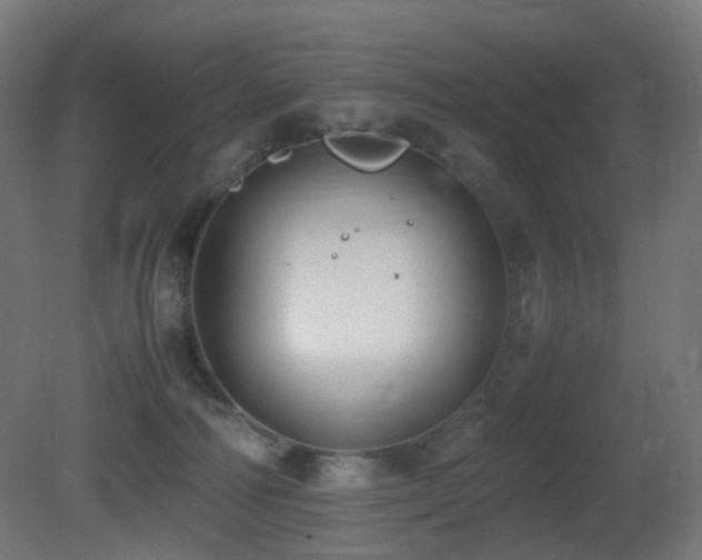 X0000081350226200701111503