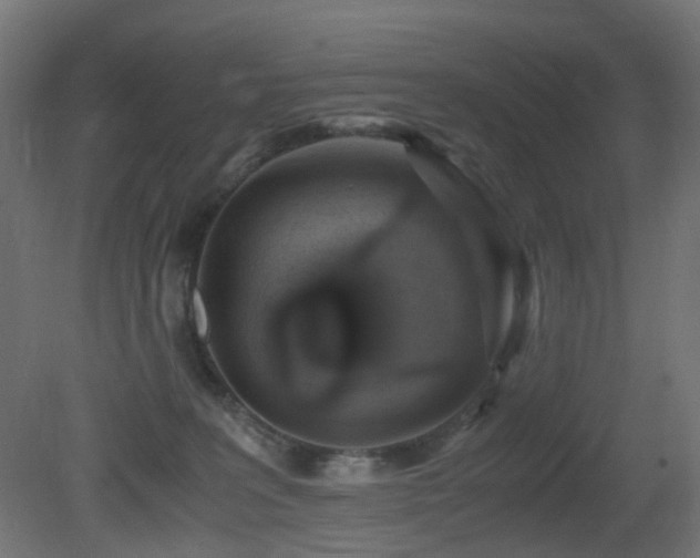 X0000081350227200701111503