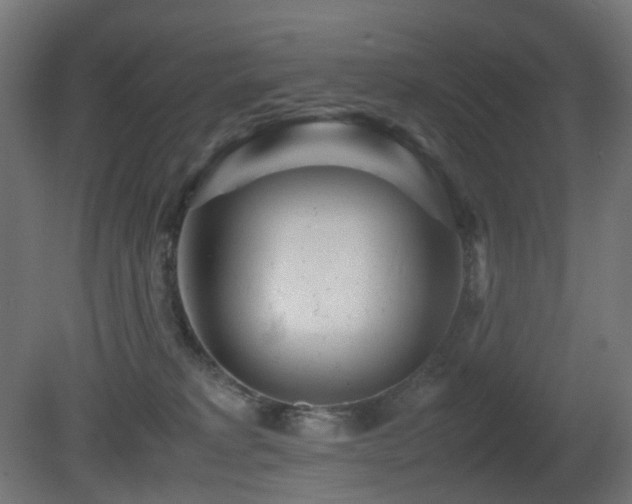 X0000081350229200701111503