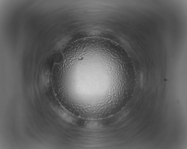 X0000081350230200701111503