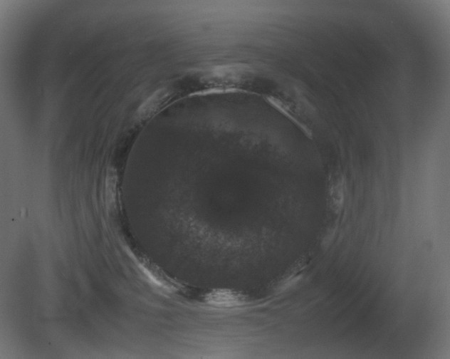 X0000081350231200701111503