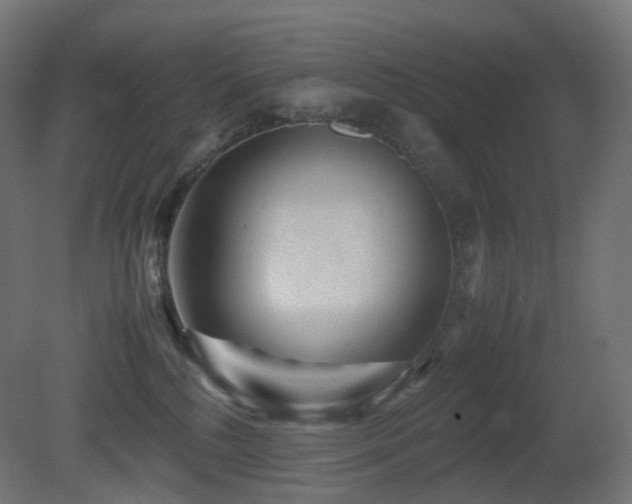 X0000081350232200701111503