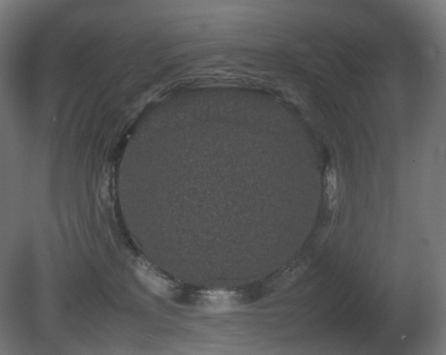 X0000081350233200701111503