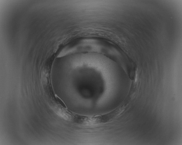 X0000081350235200701111503