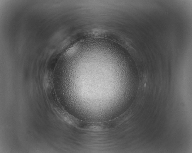 X0000081350236200701111503