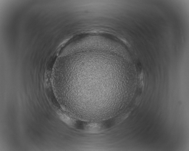 X0000081350237200701111503