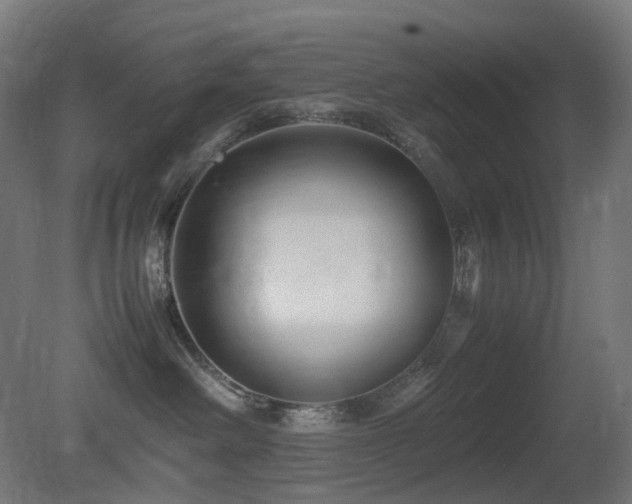 X0000081350238200701111503