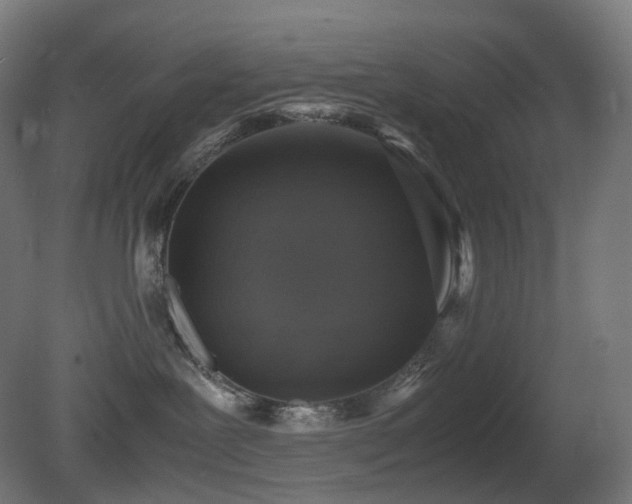 X0000081350239200701111503