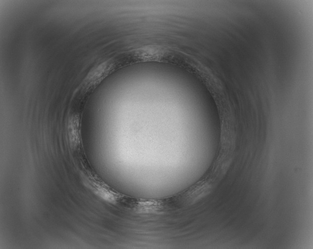 X0000081350240200701111503