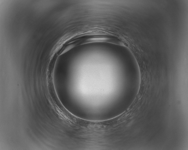 X0000081350242200701111502