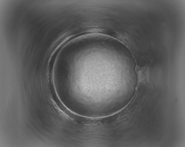 X0000081350243200701111502