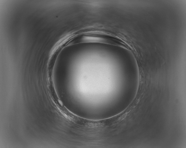 X0000081350245200701111502