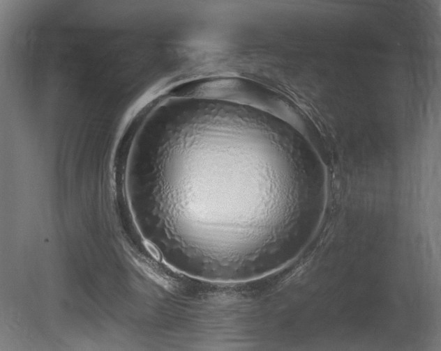 X0000081350246200701111502