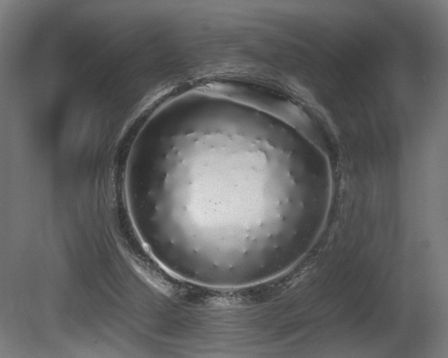 X0000081350250200701111502