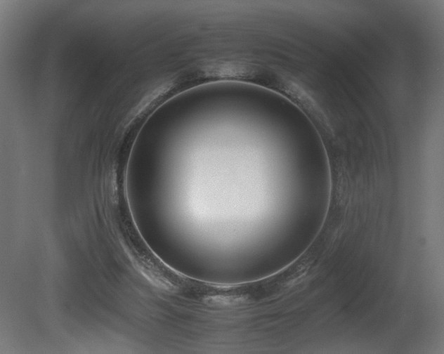 X0000081350251200701111502