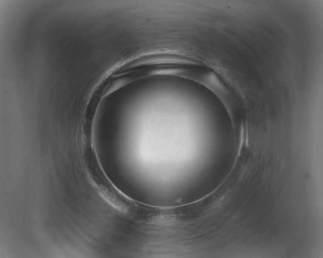 X0000081350252200701111502