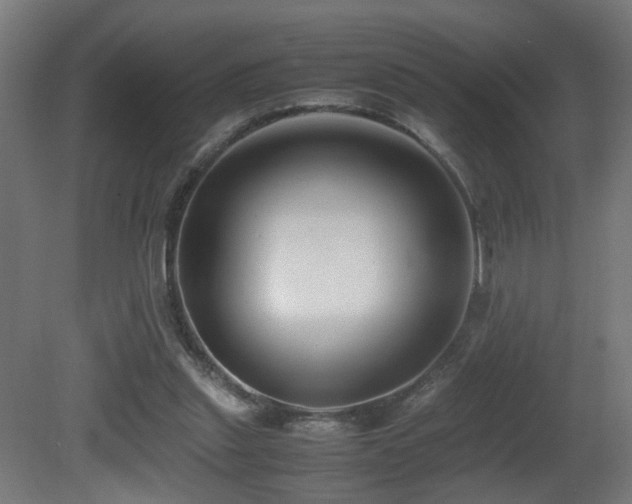 X0000081350253200701111502