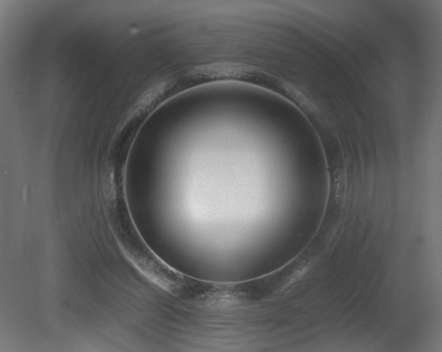 X0000081350254200701111502
