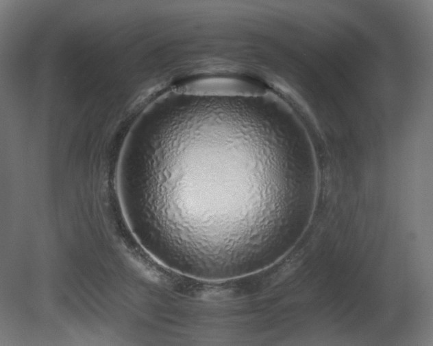 X0000081350257200701111502