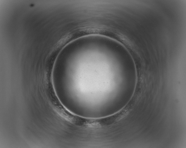 X0000081350258200701111503