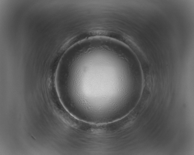 X0000081350259200701111503
