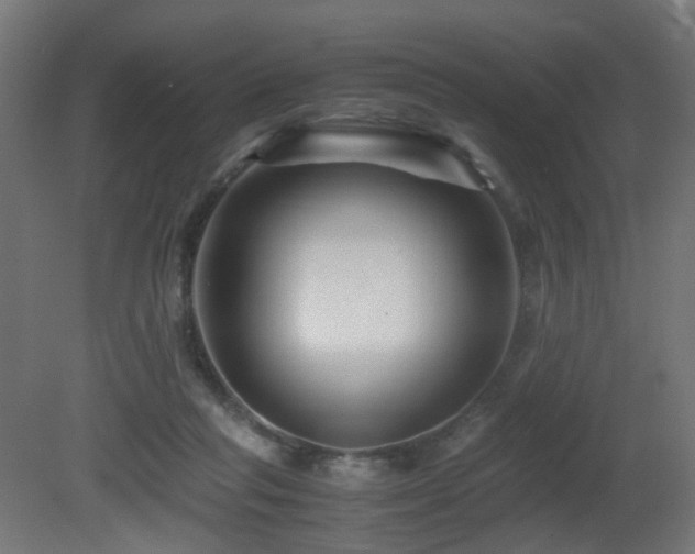 X0000081350261200701111503