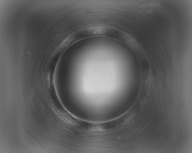 X0000081350262200701111503