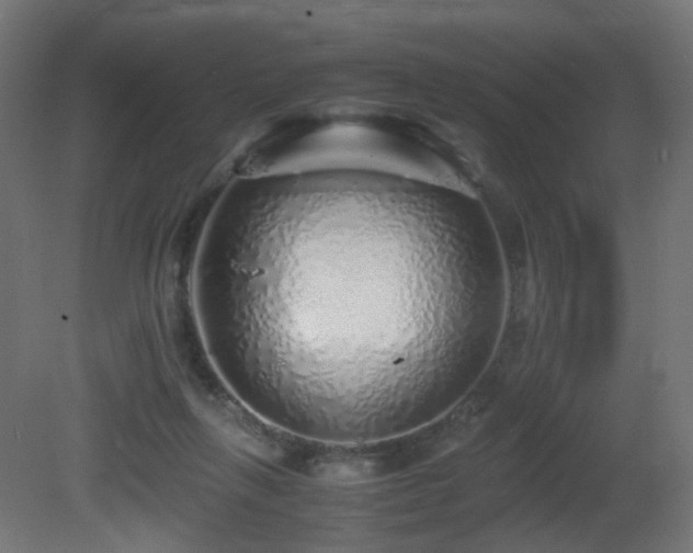 X0000081350263200701111503