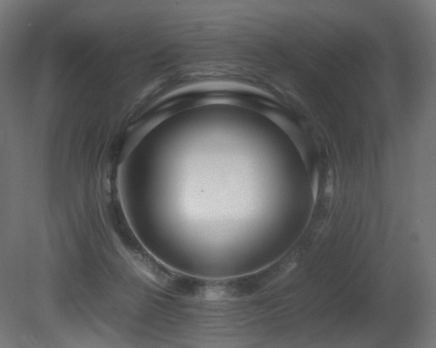 X0000081350264200701111503