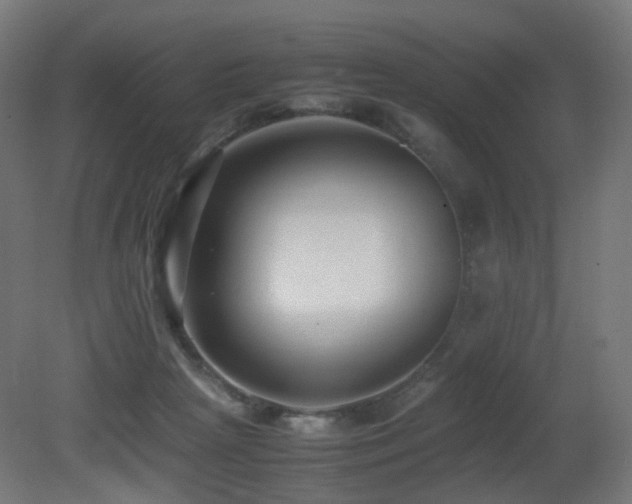 X0000081350265200701111503