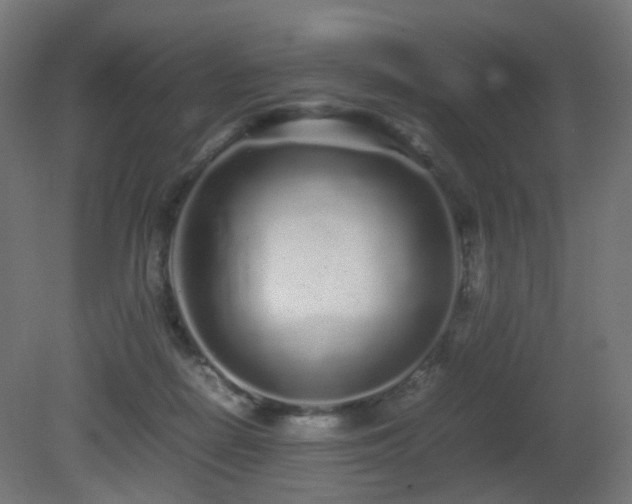 X0000081350266200701111503