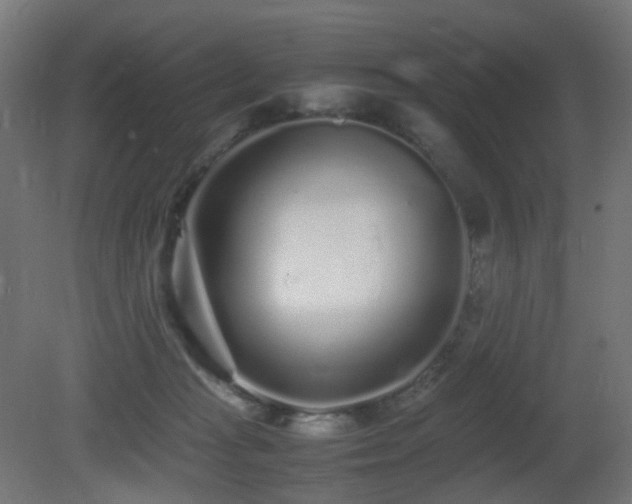 X0000081350269200701111503