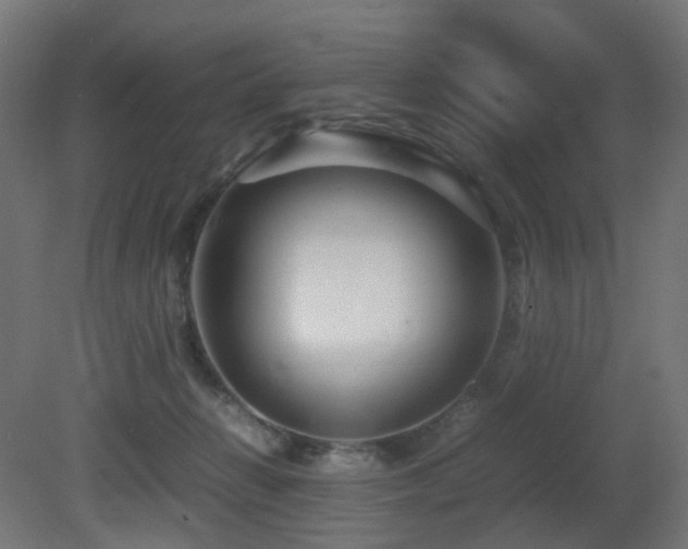 X0000081350270200701111503