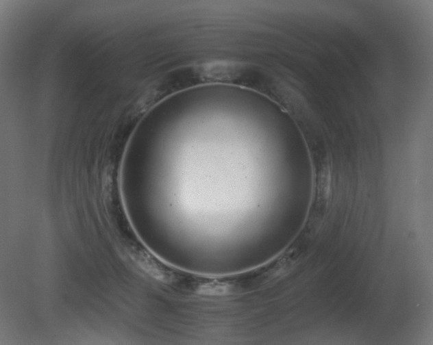 X0000081350271200701111503