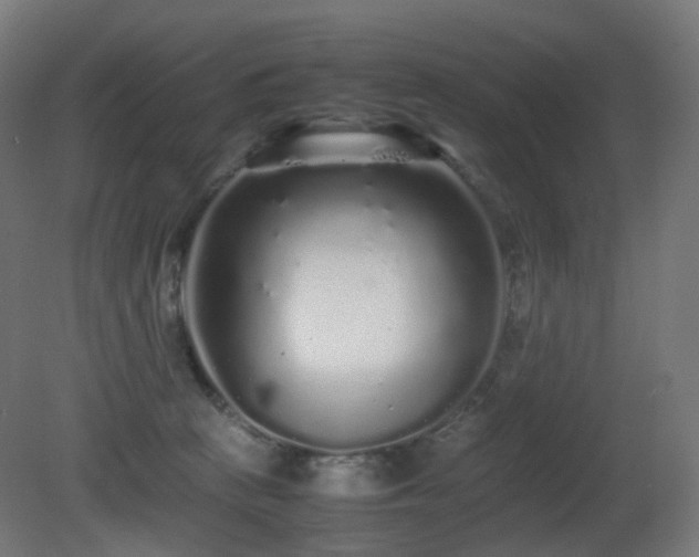 X0000081350273200701111503