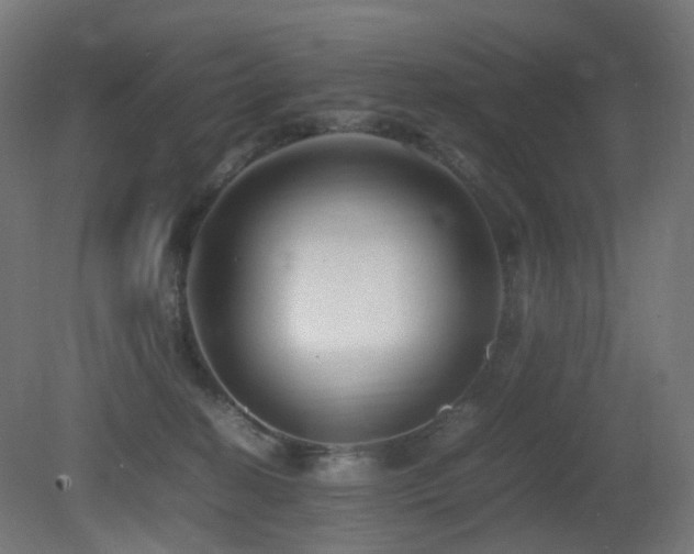 X0000081350274200701111503