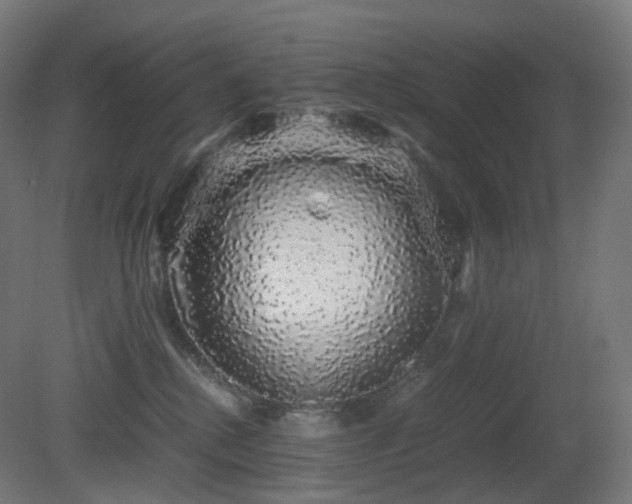 X0000081350280200701111503