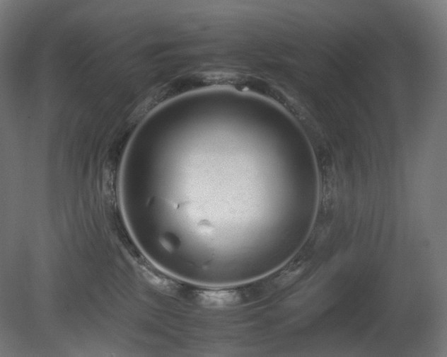 X0000081350281200701111503