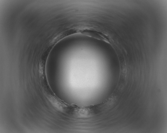 X0000081350282200701111503