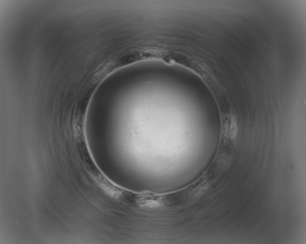 X0000081350285200701111503