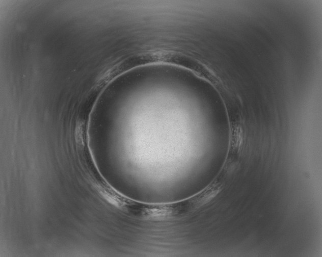 X0000081350286200701111503