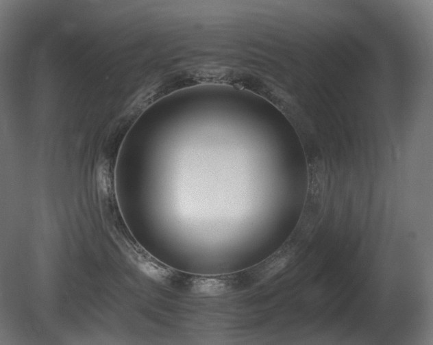 X0000081350287200701111503