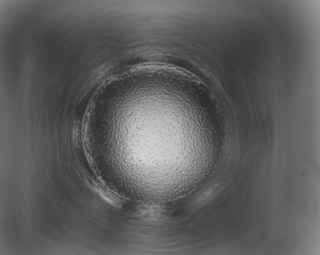 X0000081350288200701111503