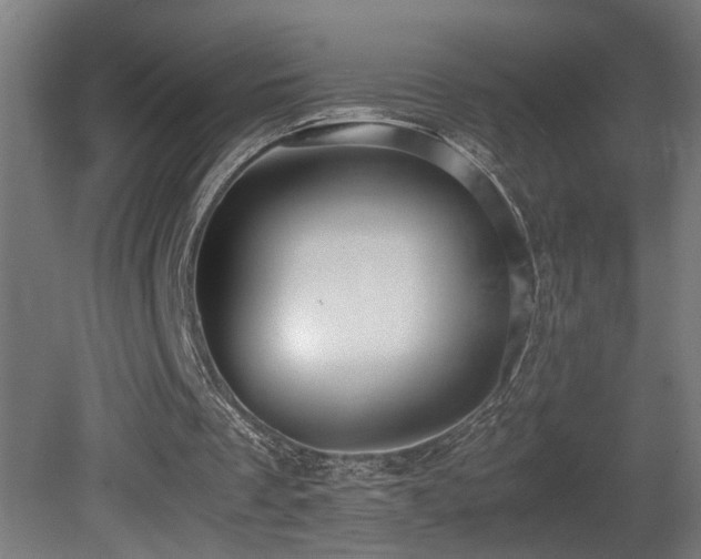 X0000081350289200701111502